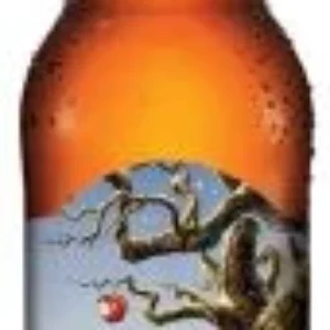 Angry Orchard Apple Cider – 12 pk